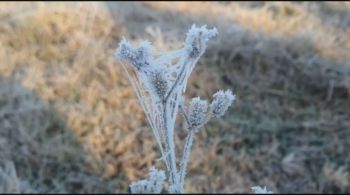 Neve deve ocorrer, principalmente, em áreas mais altas do Rio Grande do Sul e Santa Catarina