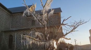 Em São Francisco de Paula, a neve chegou a se acumular nas superfícies e a cobrir árvores