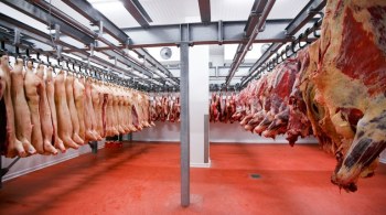 De acordo com a Organização, o índice geral de carnes teve média de 91,9 pontos em novembro, um aumento de 0,8 ponto (0,9%) na comparação mensal