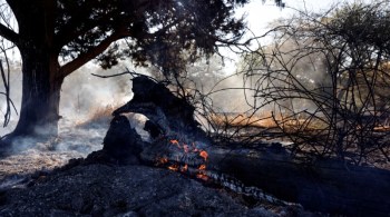 Foi a segunda vez na semana em que as Forças de Defesa de Israel bombardearam alvos na Faixa de Gaza; situação ao longo da fronteira permanece frágil