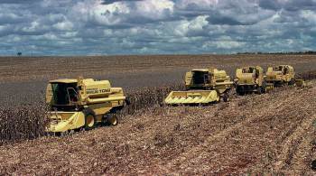 Dados foram divulgados pelo Ministério da Agricultura nesta quarta-feira