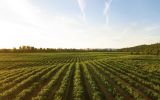 O objetivo do Desenrola Rural é renegociar dívidas da agricultura familiar