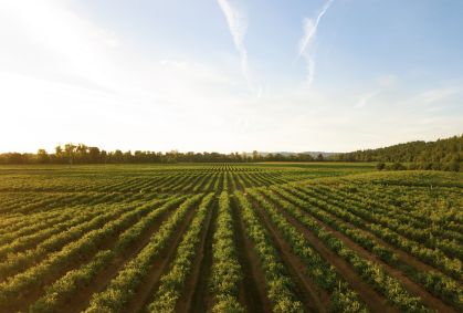 O objetivo do Desenrola Rural é renegociar dívidas da agricultura familiar