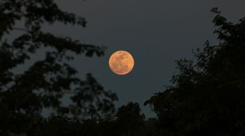 A "Lua do lobo" marca o início de 2025 com um show celestial que inclui a ocultação de Marte e a visibilidade de vários planetas no céu noturno