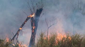 Wolnei Wolff Barreiro alerta para medidas de segurança em casos de queimadas, destacando a importância de se afastar dos focos de incêndio