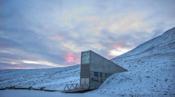 Mais de 1,3 milhão de espécies de plantas ficam armazenadas em meio ao solo congelado do arquipélago de Svalbard