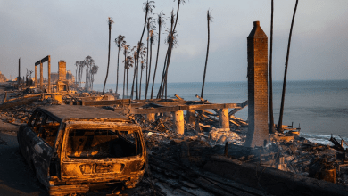 De incêndios a enchentes: por que a Califórnia sofre tanto com desastres naturais?