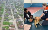 Enchentes em Peruíbe (SP) mais de 60 animais foram resgatados durante desastre