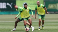 Palmeiras toma decisão sobre usar jogadores da Copinha no Paulistão