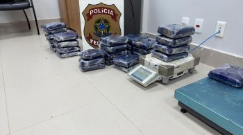 Criminosas tentavam realizar o transporte de maconha do tipo “skunk” e cocaína 