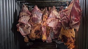 Investigações apontam que os sócios da empresa investigada adquiriram 800 toneladas de carne bovina estragada (cortes nobres) e revenderam