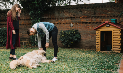 5 fatos importantes antes de deixar seu cachorro no hotelzinho e viajar