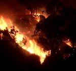 Incêndios em Los Angeles: Entenda como o fogo começou a se espalhar