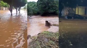 Segundo os bombeiros, município recebeu mais de 100 milímetros de chuva em poucas horas; ninguém morreu