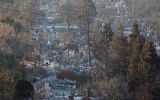 Área de Pacific Palisades, em Los Angeles, afetada por incêndios florestais.