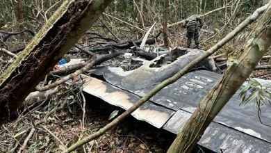 FAB abate avião venezuelano que entrou ilegalmente no Brasil