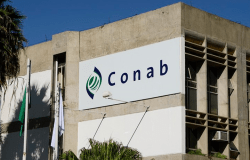 Com apoio do BNDES, Conab vai reinvestir R$ 170 mi em armazenagem