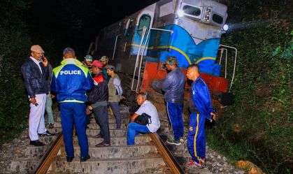 Trem colide com manada de elefantes e mata seis animais na Ásia